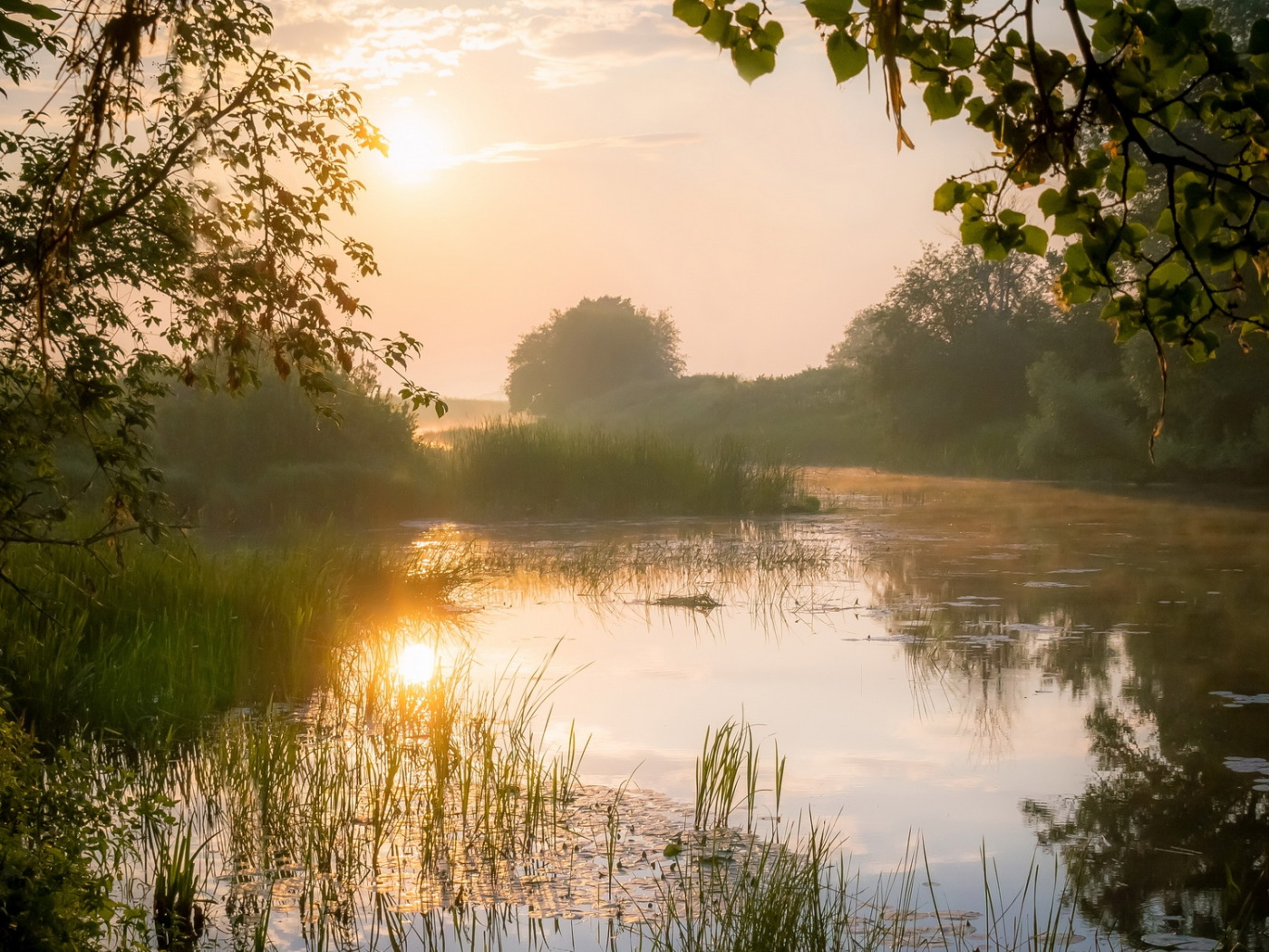 Фото Утро Берег