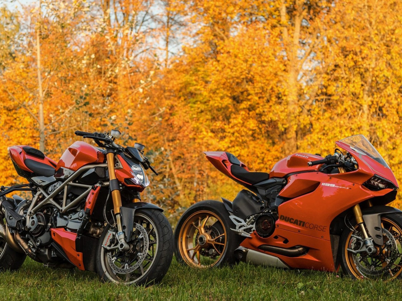 Ducati Panigale оранжевый