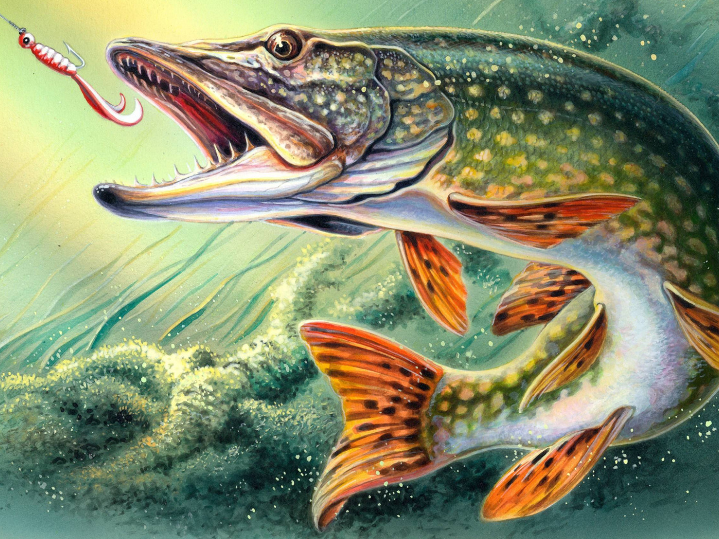 Какие отношения между щукой и окунем. Алмазная мозаика щука. Рыба щука. Рыбалка картинки. Картины на тему рыбалка.