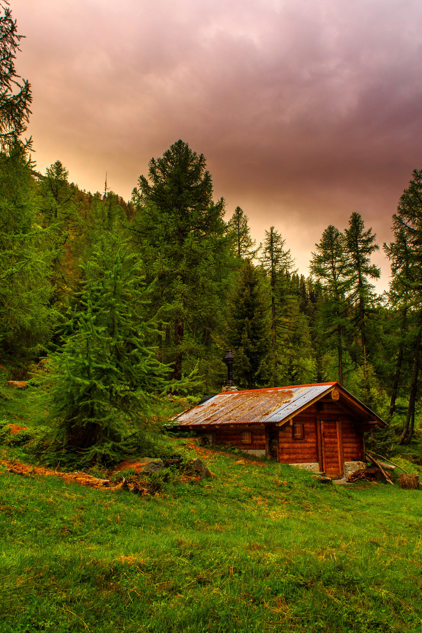 Алтай Фото Природа Домик В Лесу