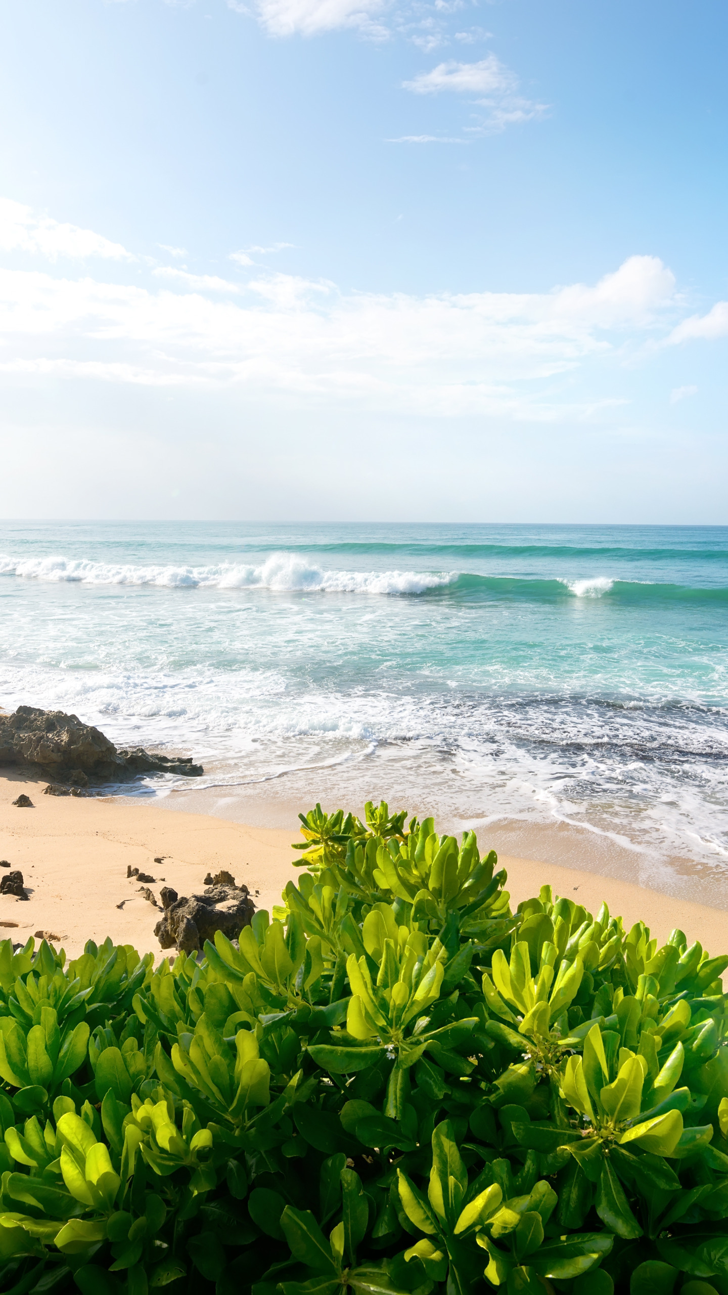 песок, море, пляж, пальмы, берег, summer, beach, sea