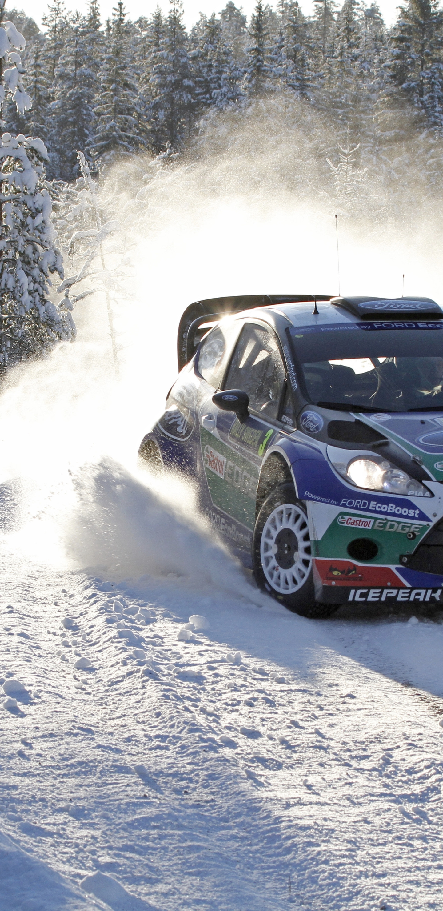 106 Peugeot Rally Winter