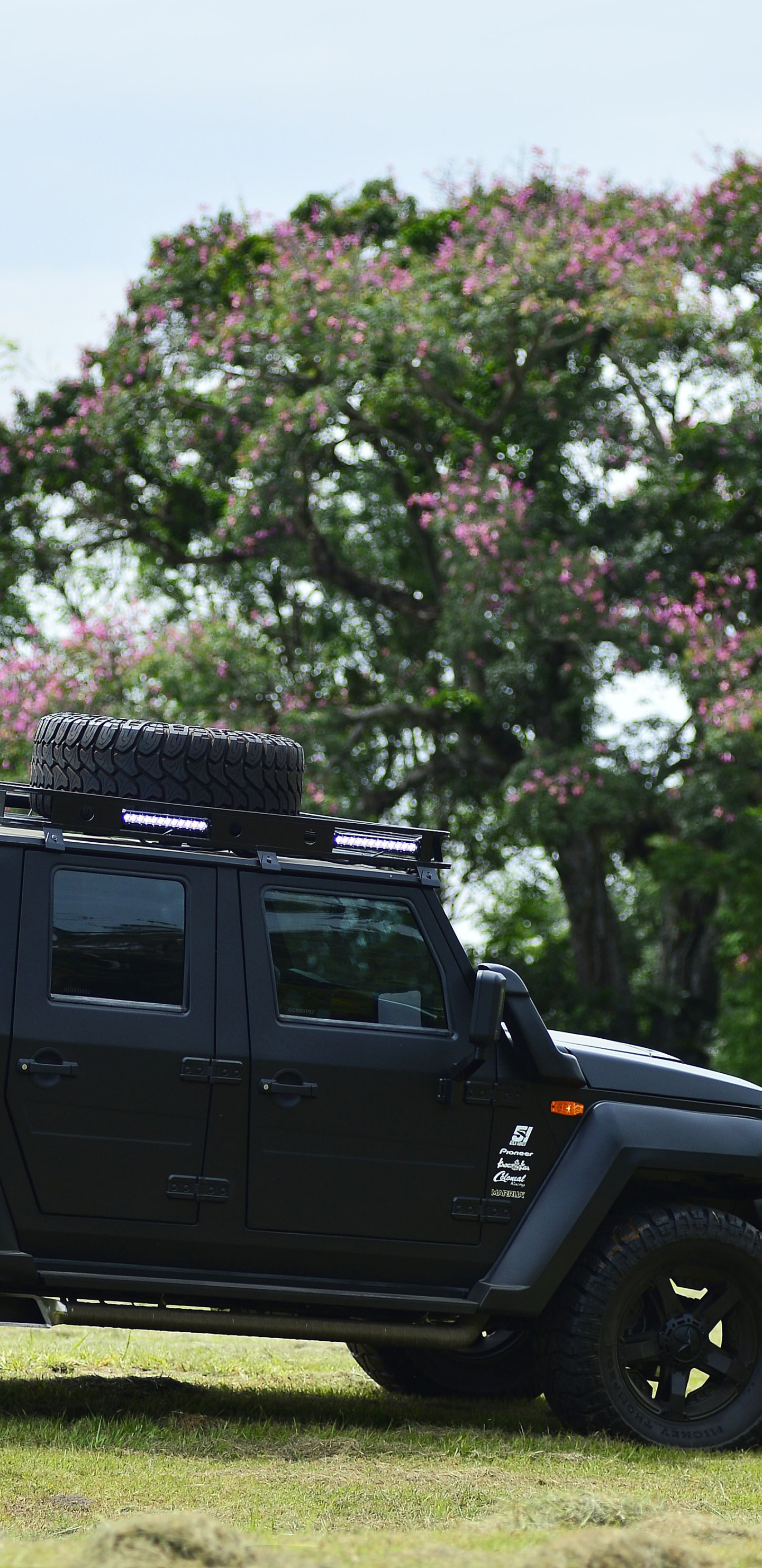 made in Brazil, Agrale, military and civil vehicle, manufactured in Santa Catatarina, export type product, Agrale Marrua, gaucha factory, (30)