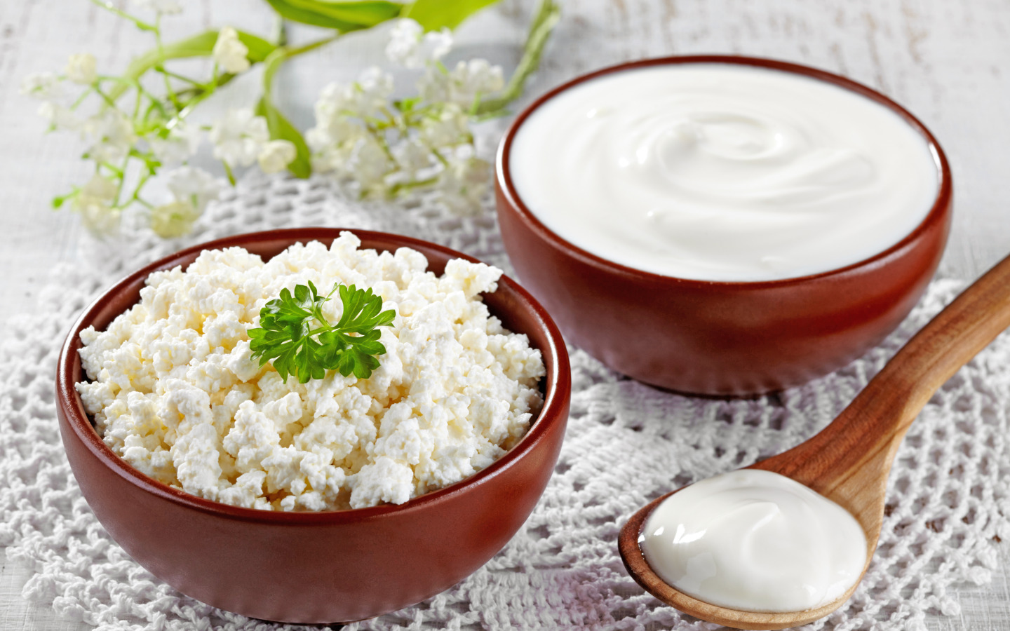 Скачать обои ложка, spoon, творог, сметана, молочные продукты, sour cream,  milk products, cottage cheese, раздел еда в разрешении 1440x900