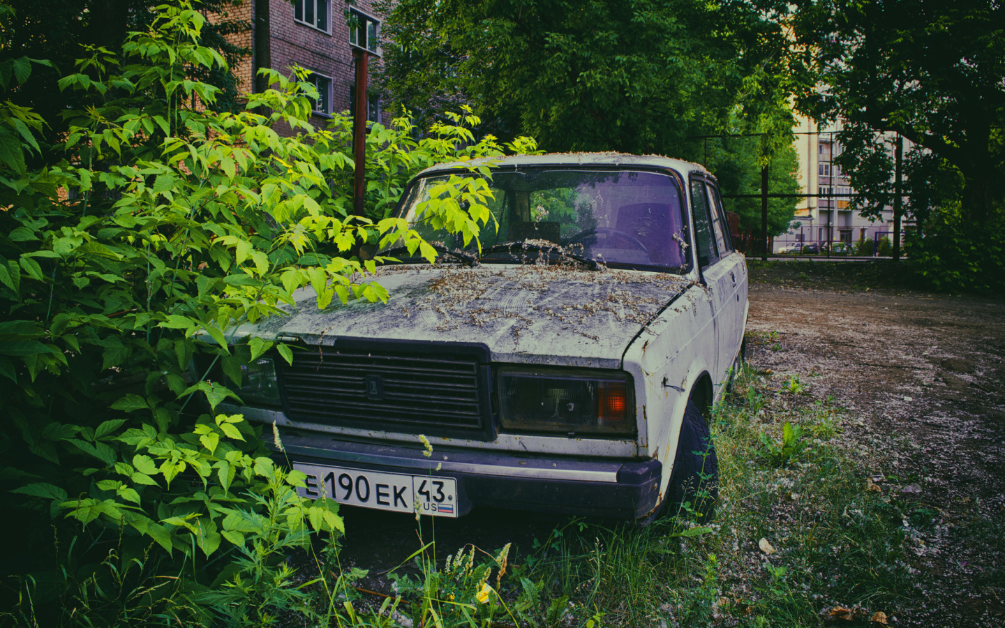 Скачать обои листья, жигули, лада, lada. vaz. 2107, раздел другие марки в  разрешении 1440x900