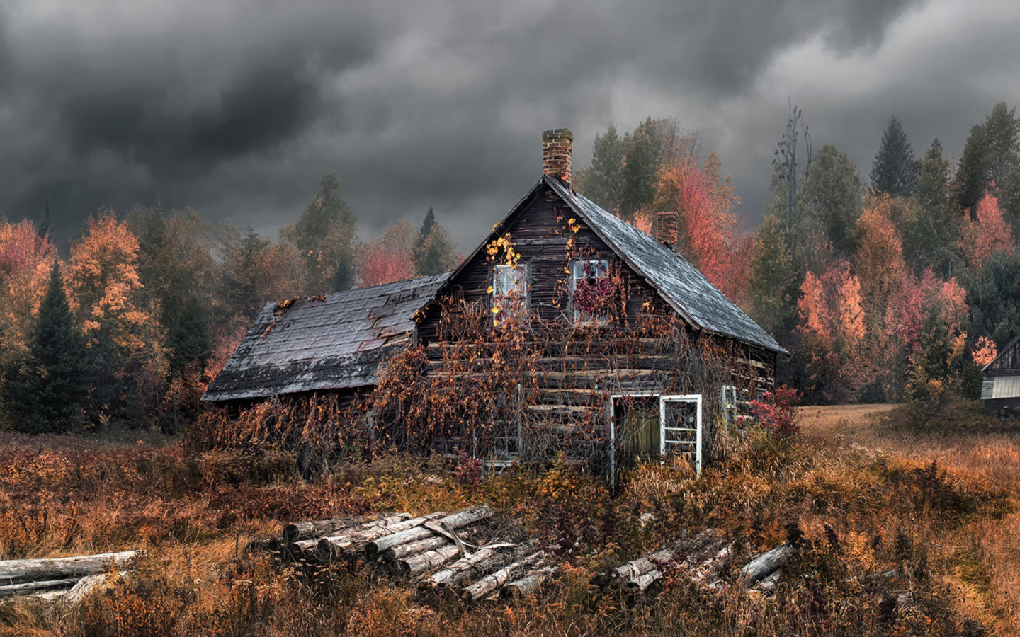 Forest House Хижина в лесу