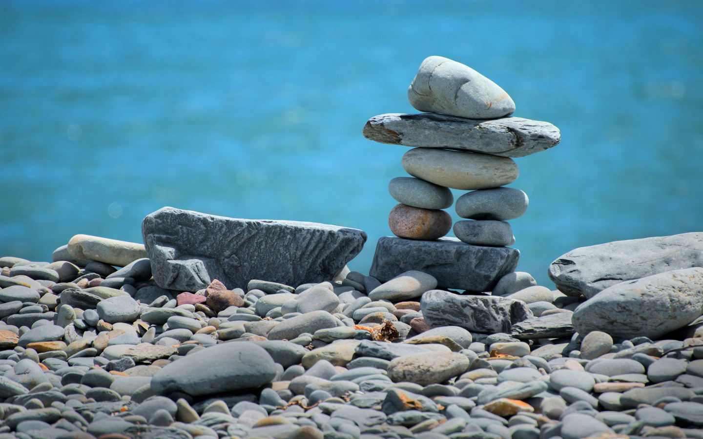 Купающиеся камни. Гальки на берегу. Камень галька. Камни на берегу моря. Красивые морские камни.