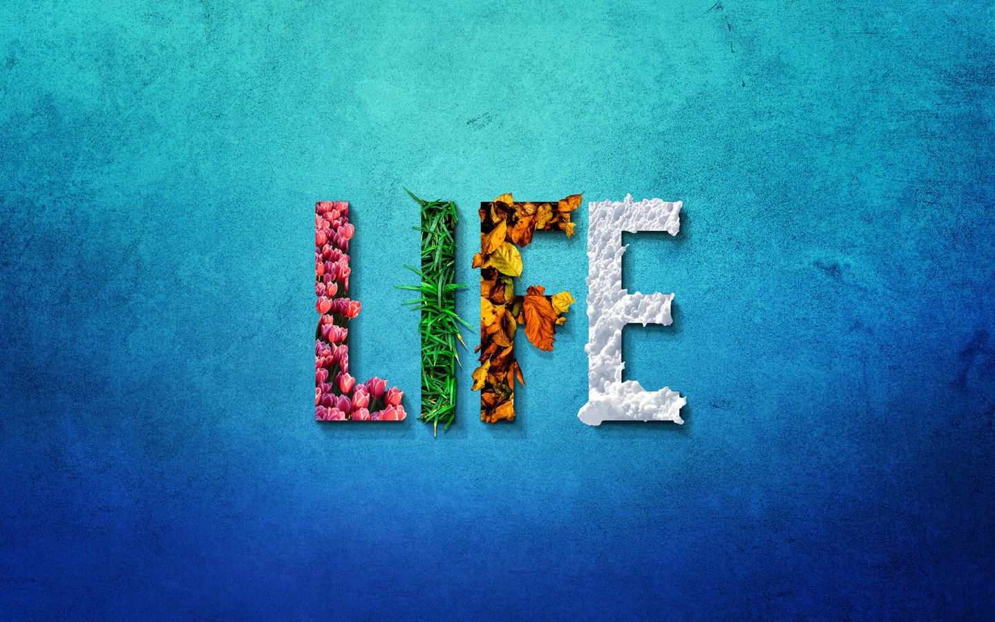 Just life 4