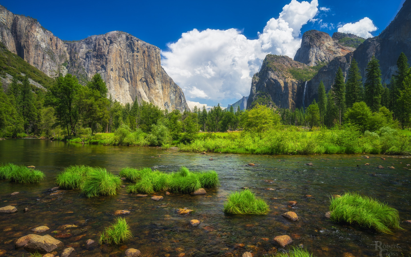 Река Мерсед, Йосемити, США.. Национальный парк Йосемити обои. Уайт-Маунтинс (национальный парк). Природа. Природа сша 7 класс