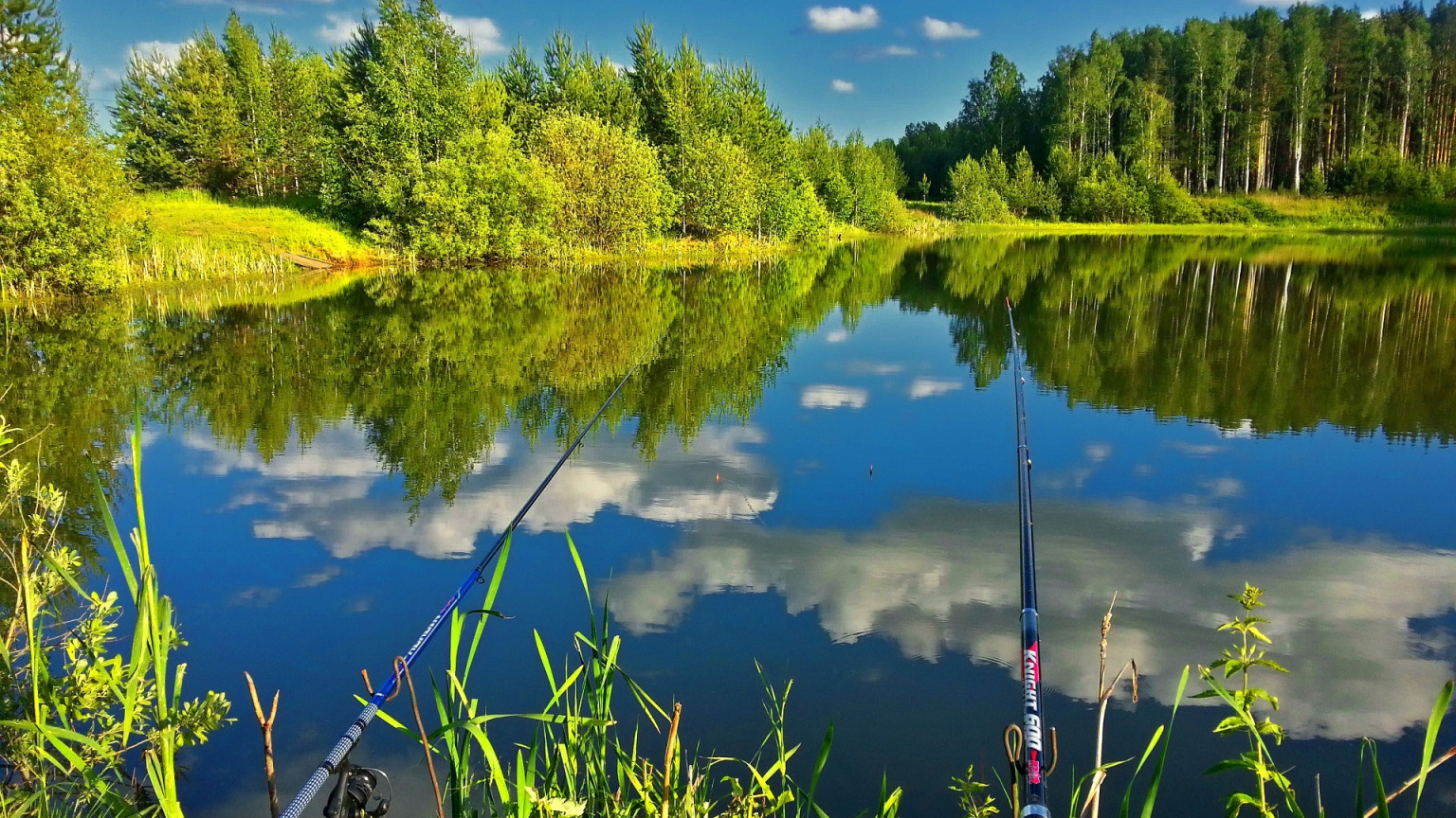 Рыбалка озеро летнее. Природа река. Природа озеро. Природа рыбалка. Река в лесу.