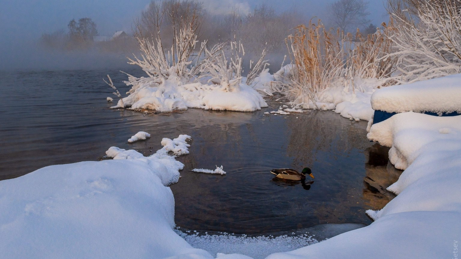 Слушать снег вода. Озеро Улагач. Утиное озеро зимой. Зима озеро утки. Зима вода.