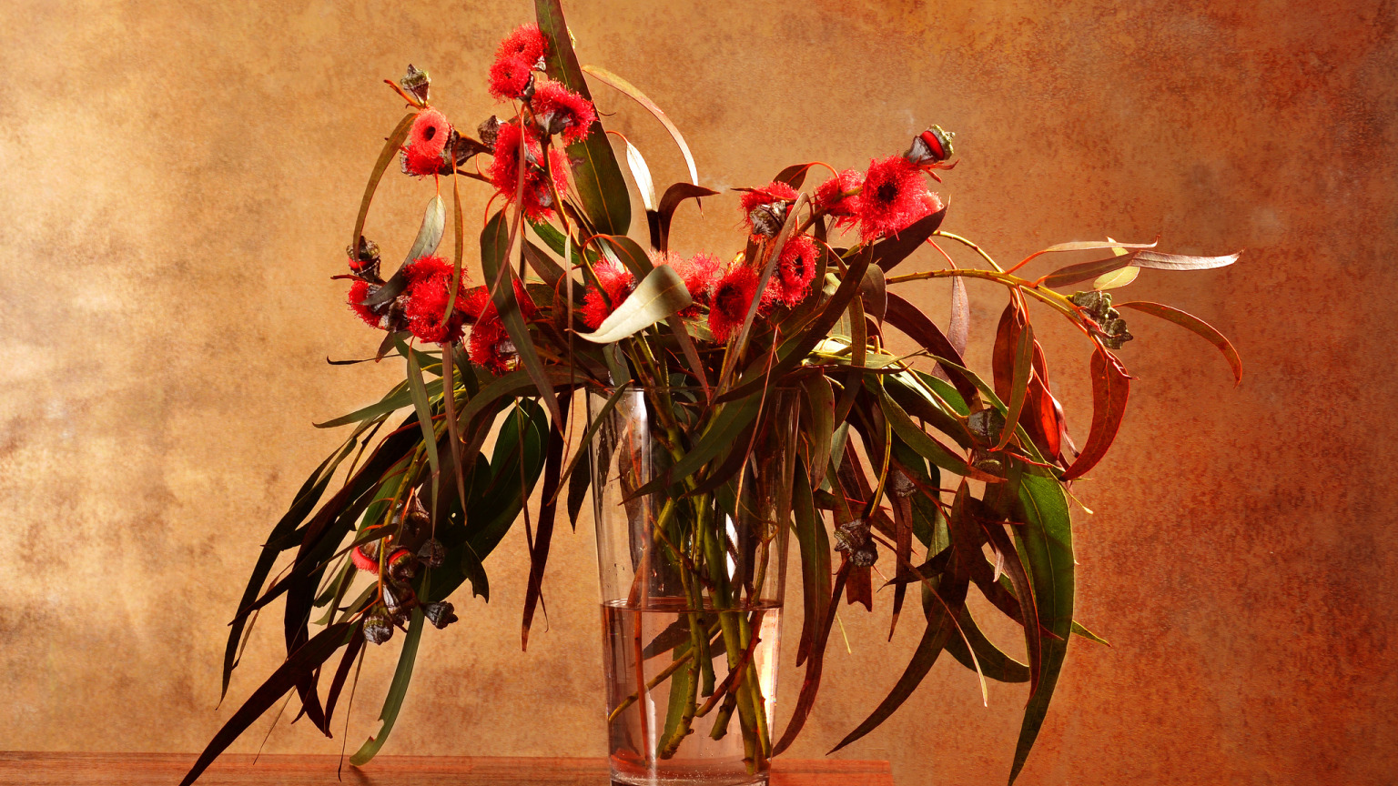 стекло, листья, вода, цветы, ветки, стол, ваза, эвкалипт