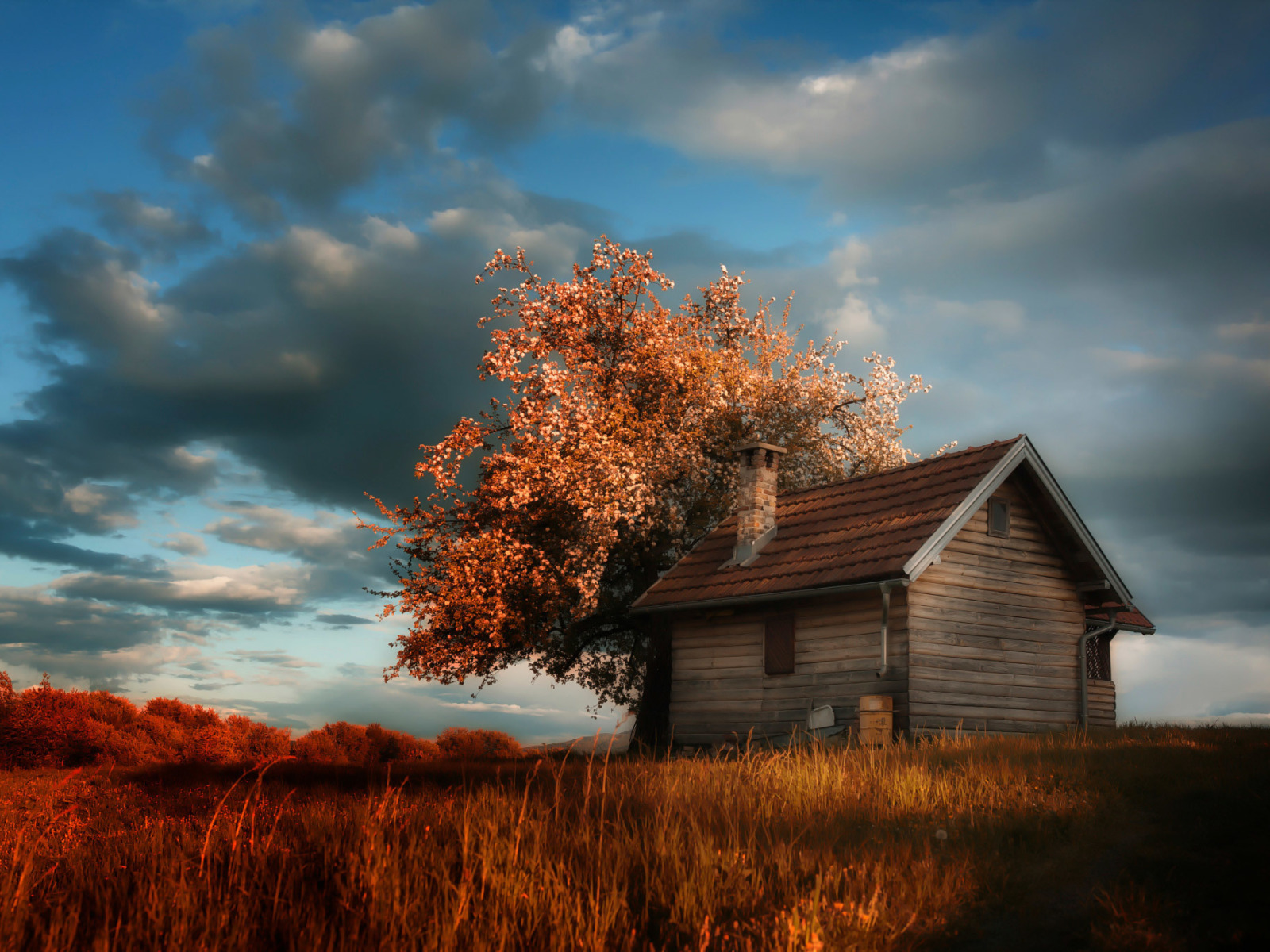 Деревянный дом пейзаж. Домик в деревне. Осенний деревенский пейзаж. Пейзаж с домами и деревьями. Красивые картинки домов на природе.