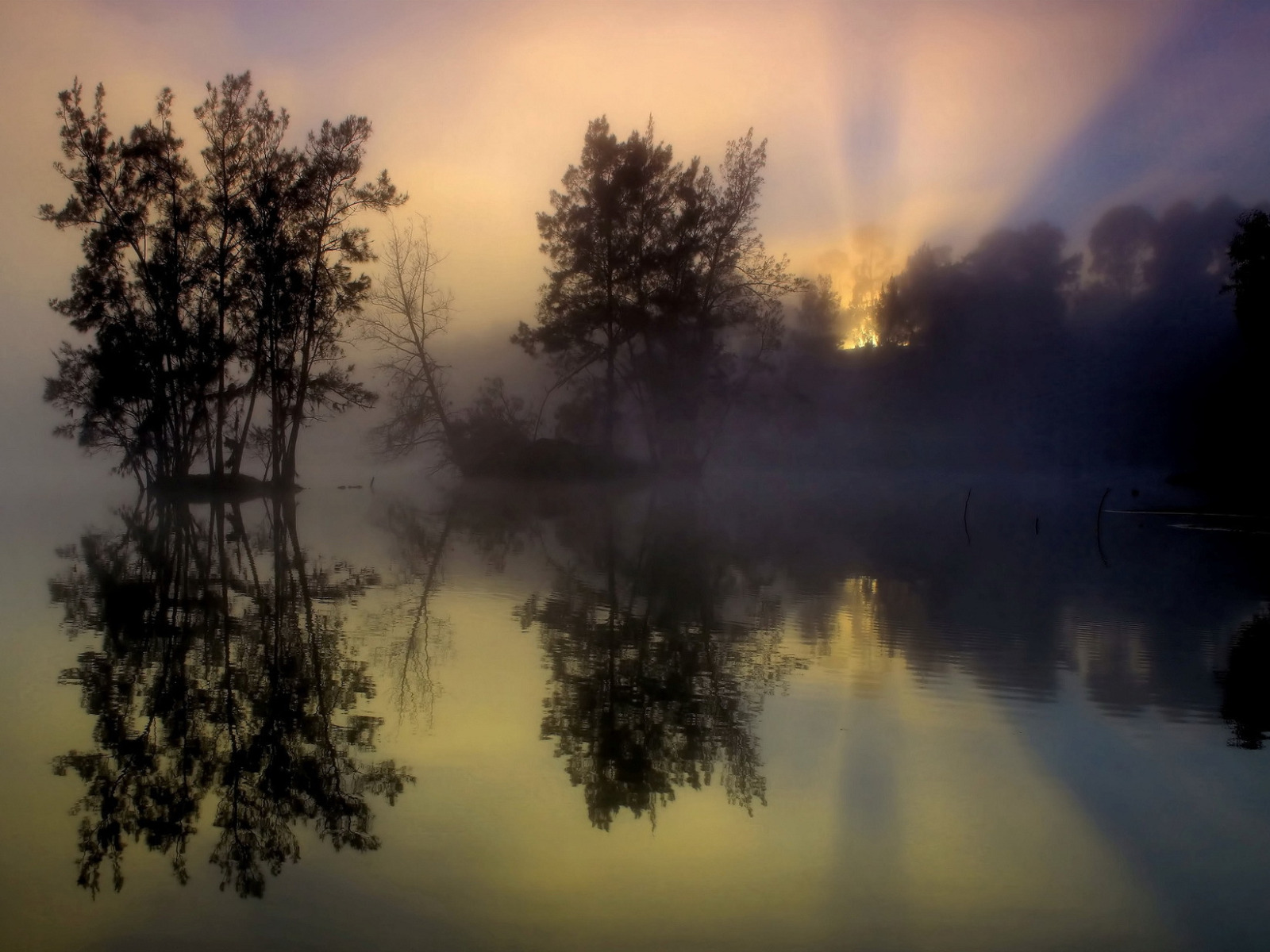 Утро состояния природы. Туман над озером. Озеро в тумане. Туманный рассвет на озере. Пейзаж туман.