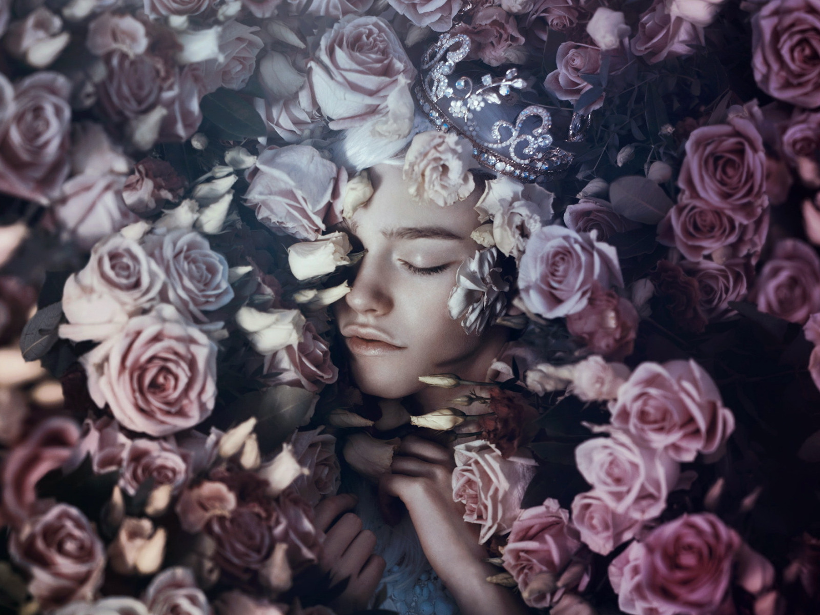Большие цветы во сне. Девушка и цветы Эстетика. Девушка с цветами Эстетика. Эстетика розового цвета. Девушка с цветком.