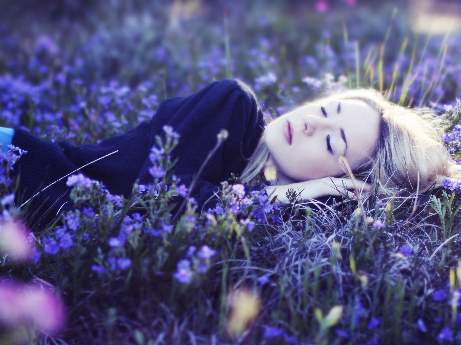 Большие цветы во сне. Девушка с цветком. Сон в цветах. Девушка с синим цветком.