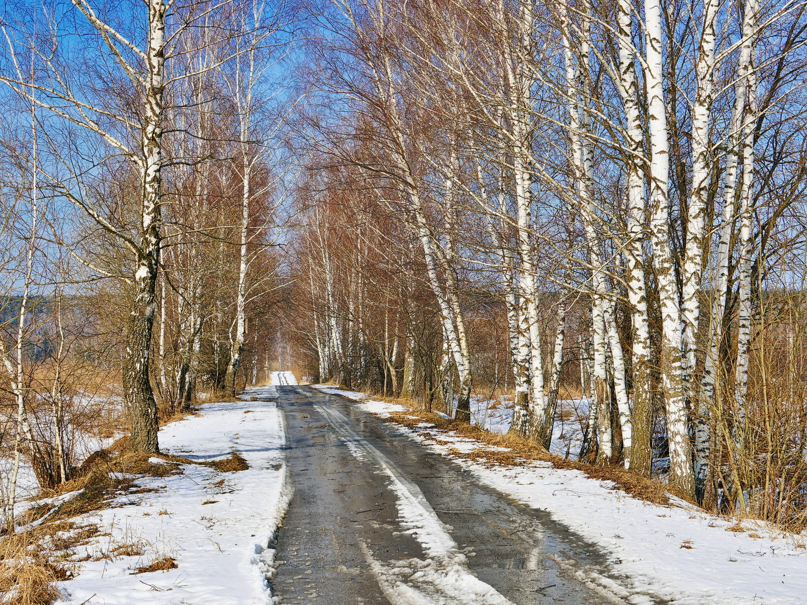 Россия Весна Фото Гугл