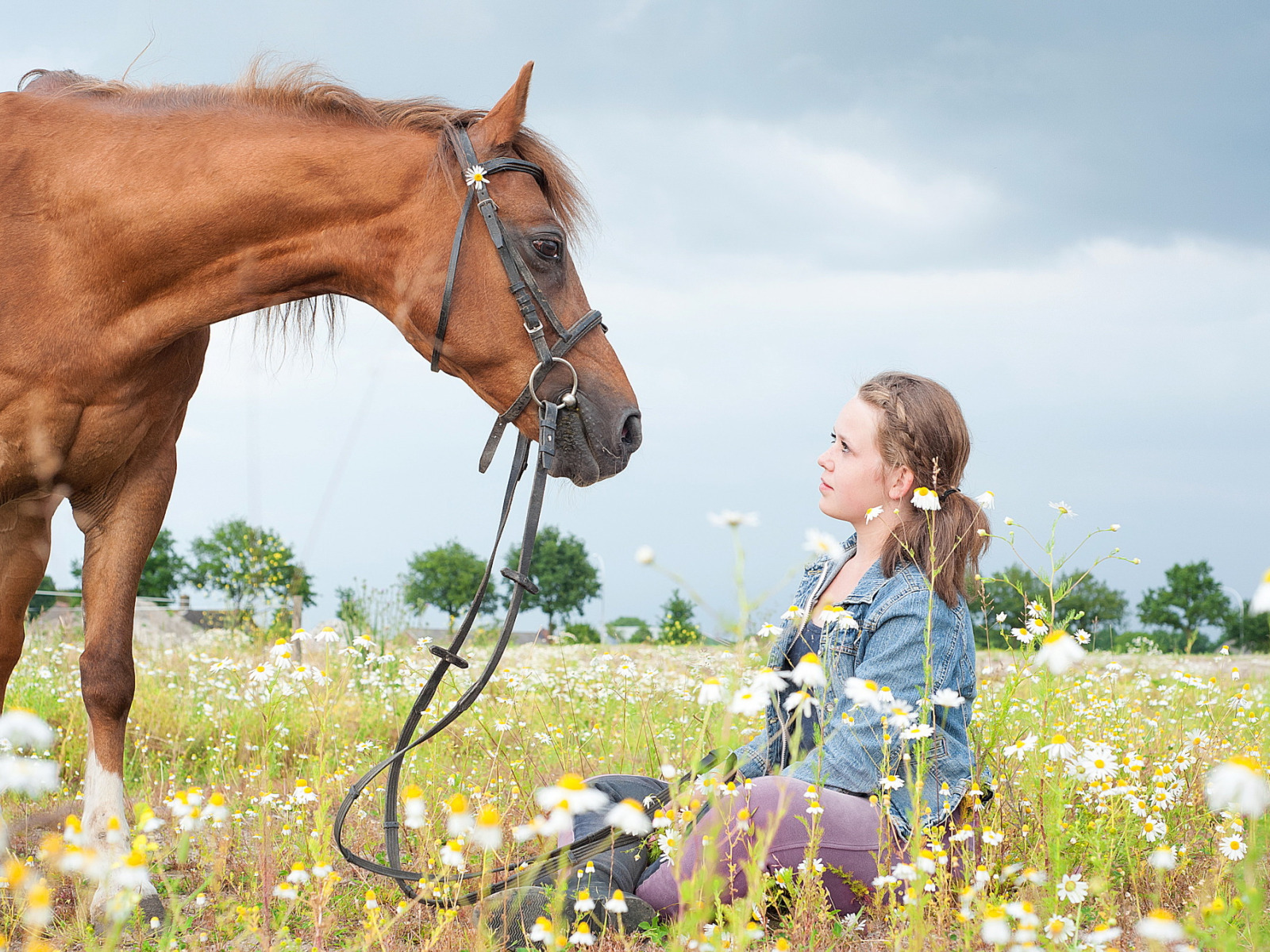 Девушка с лошадью видео. Фотосессия с лошадьми дети. Девушка с лошадью. Лошадь в ромашковом поле. Конь с ромашками.