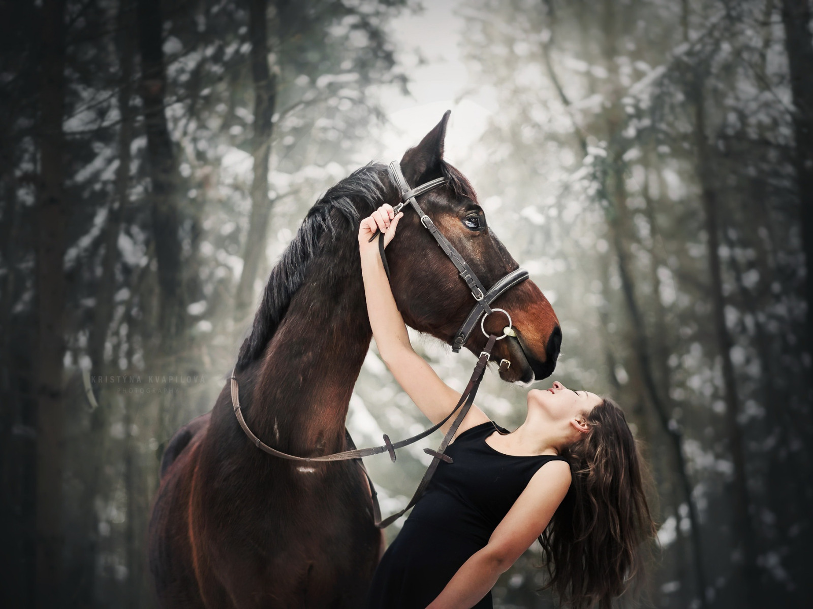 Русская девушка с лошадью. Фотосессия с лошадьми. Девушка с лошадью. Девушка на коне. Брюнетка на лошади.