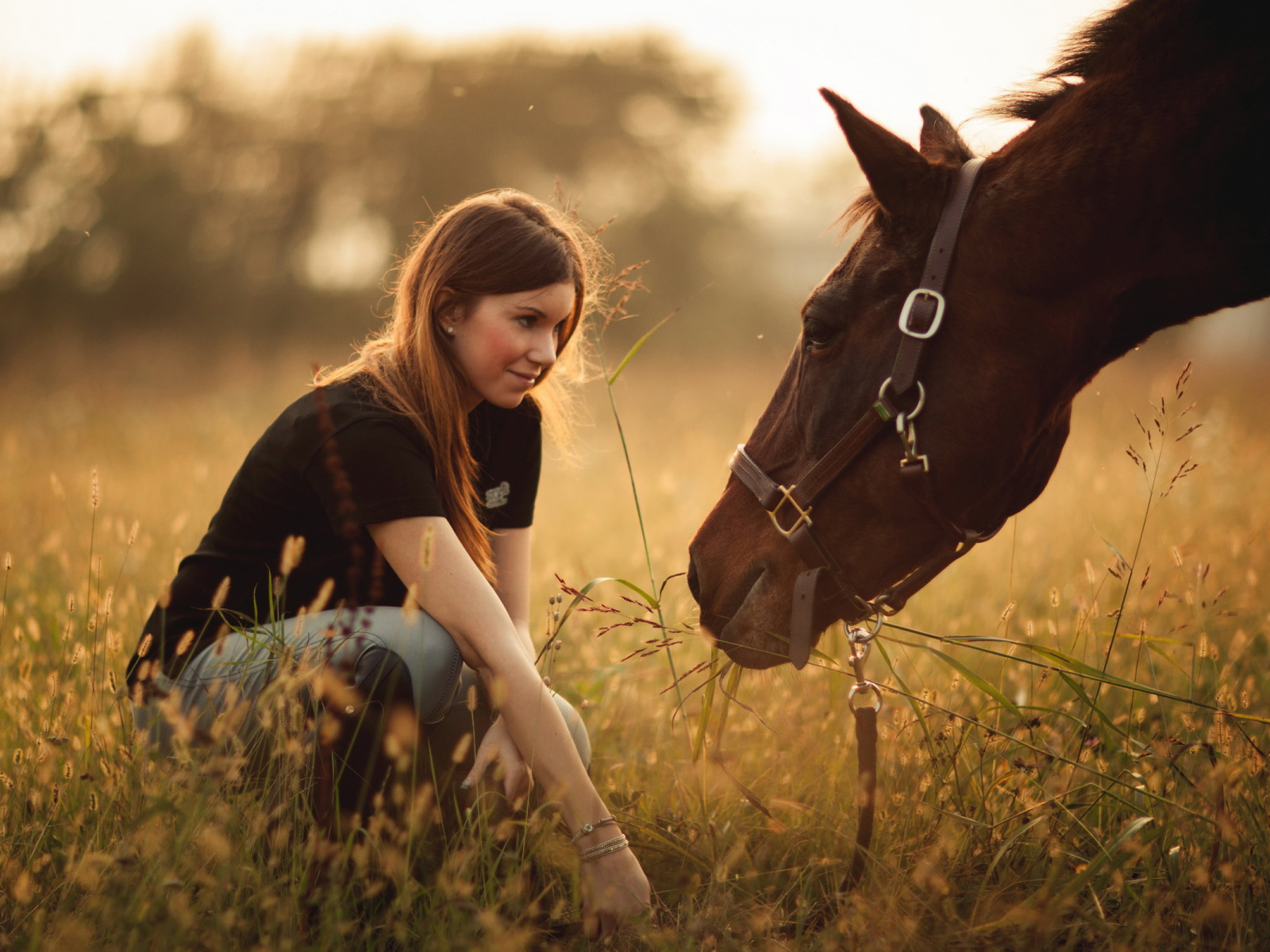 Девушки полу лошади. Девочка на лошади. Девушка с лошадью. Девушка на коне. Лошадь в поле.