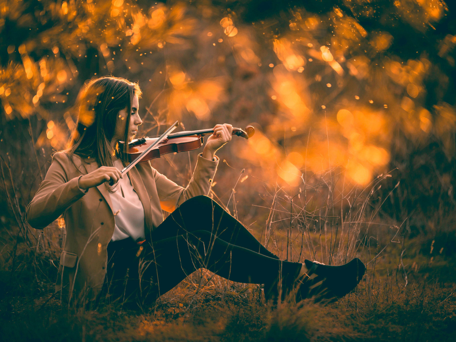 Девушки со скрипкой. Фотосессия со скрипкой. Осень девушка со скрипкой. Фотосессия со скрипкой на природе. Слушать скрипку для души