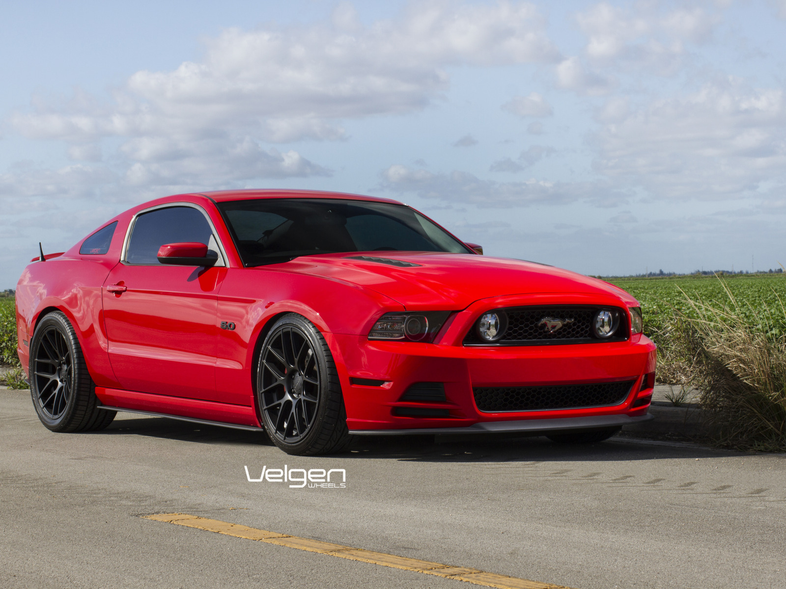 2005 Mustang gt Custom Paint