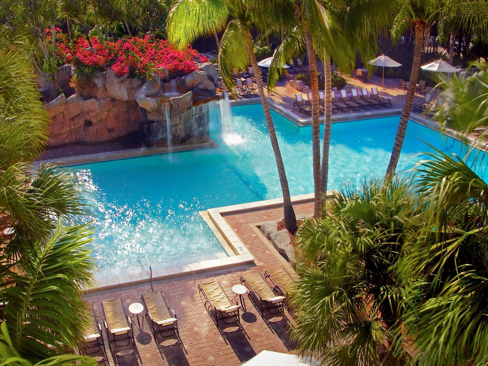 Plant pool. Красивый бассейн. Бассейн с пальмами. Пальмы вокруг бассейна. Бассейн в отеле пальмы.