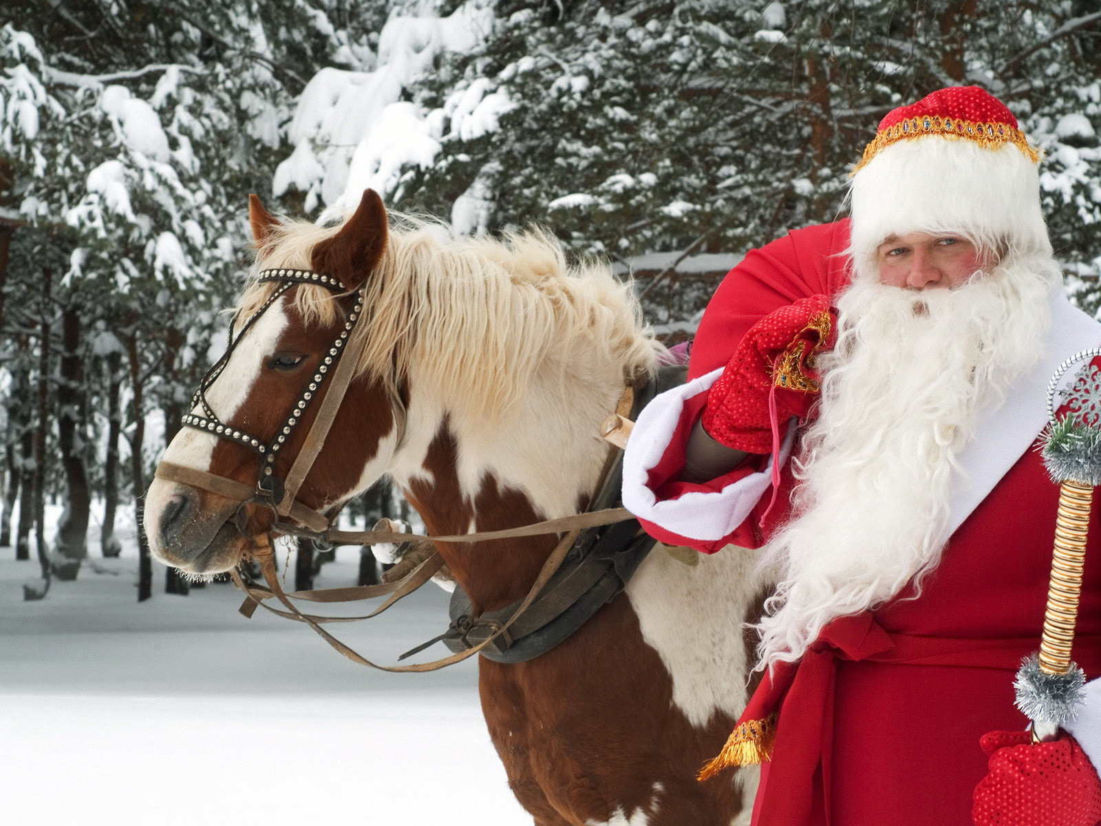 Новый годом все случится. Российский дед Мороз Великий Устюг. Новый год дед Мороз. Изображение Деда Мороза. Зима дед Мороз.