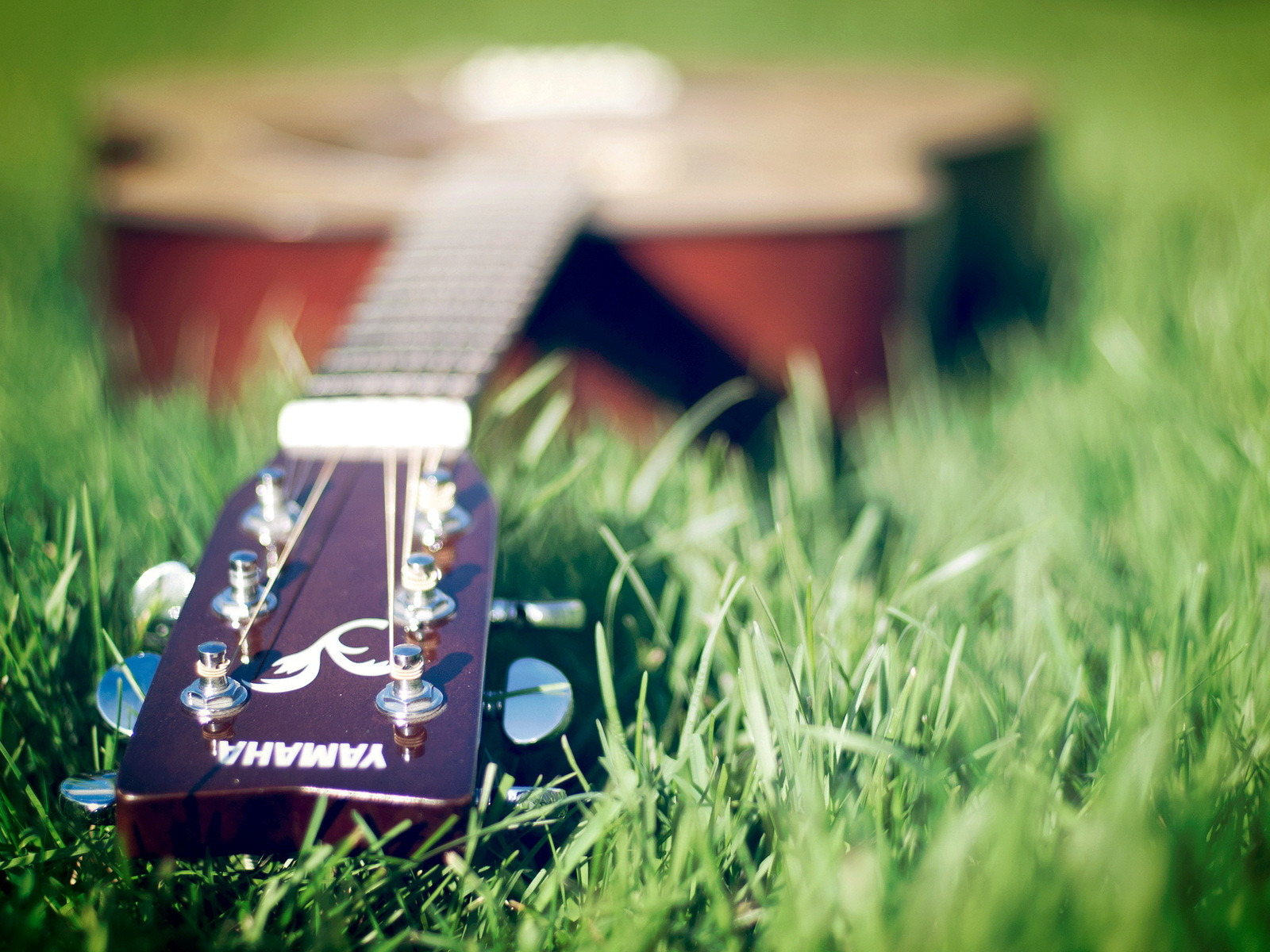 Сыграть на гитаре в траве. Гитарный клуб. Гитара обои на телефон высокого качества на поле. Мелодия травы. Обои на рабочий стол 1280x1024.
