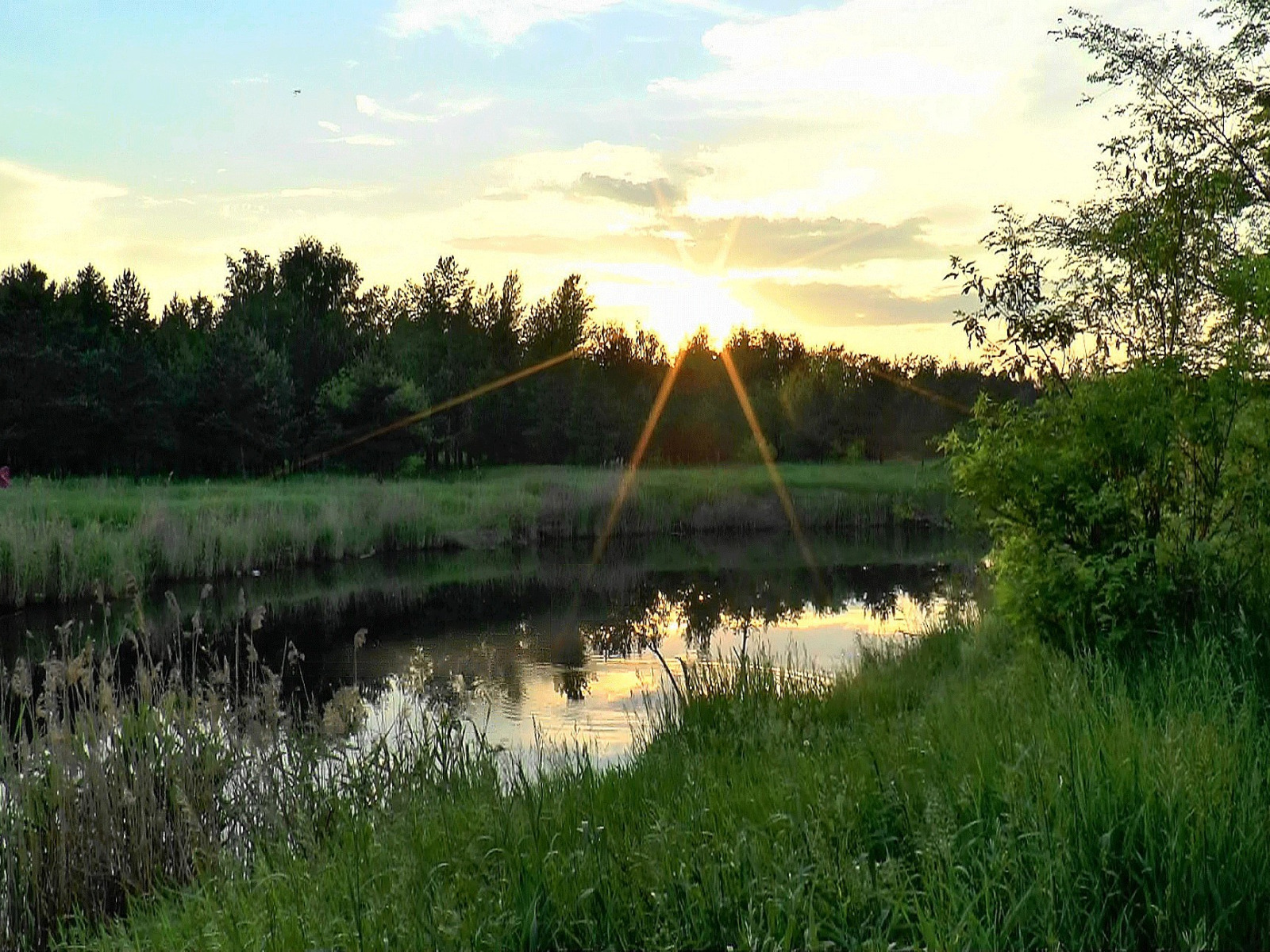Вечером заря желто зеленой лентой. Утренняя Заря. Природа Заря. Закат на реке летом. Природа рассвет.