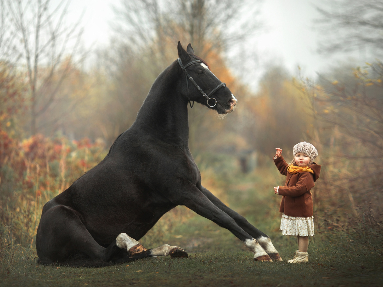 Девушки собаки лошади. Фотосессия с лошадьми. Детская фотосессия с лошадьми. Фотосессия с лошадьми дети. Лошадь для детей.
