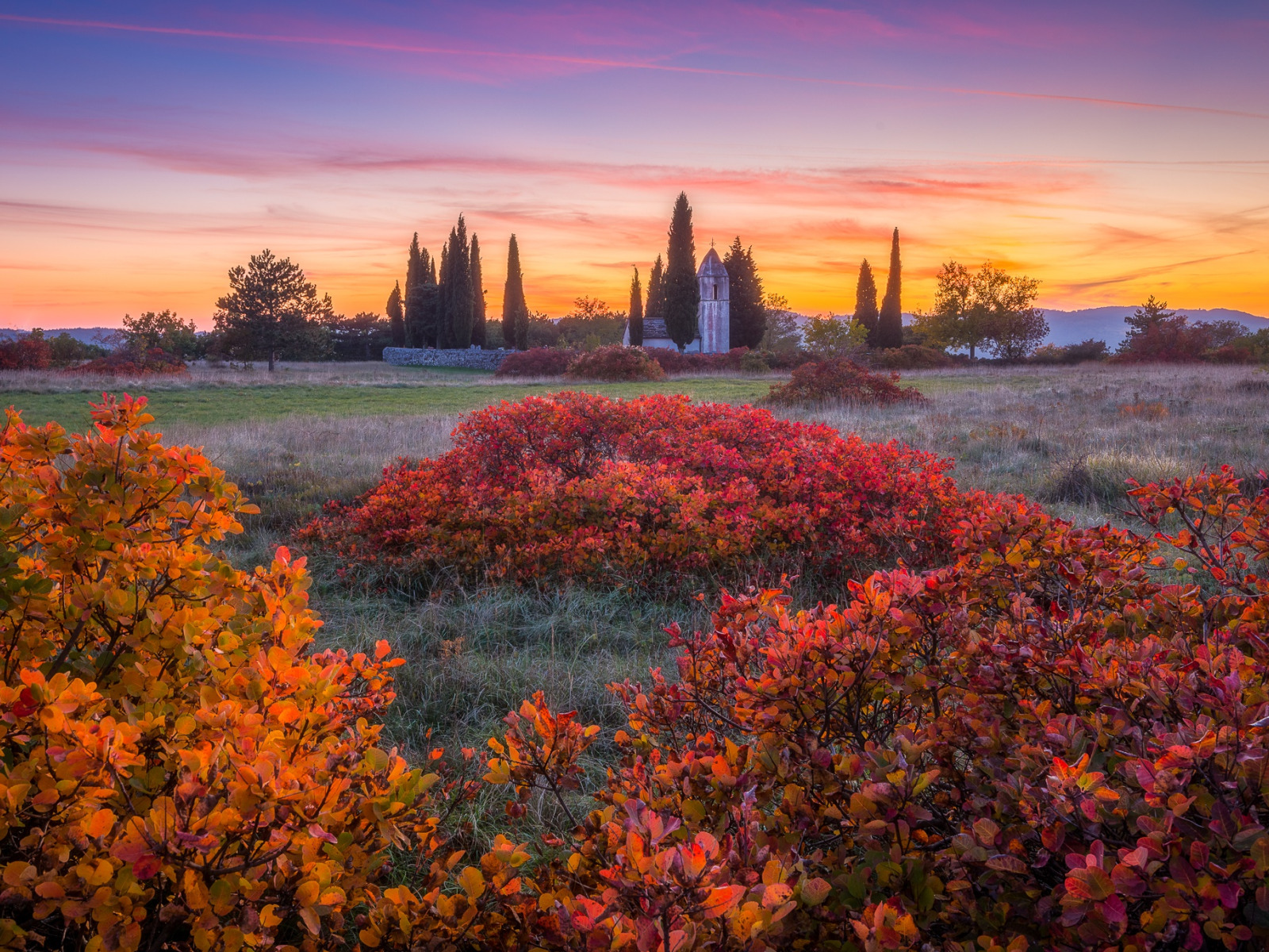 Church fall. Кусты пейзаж. Церковь и природа. Куст на переднем плане пейзажа. Sunset in Falls Church.