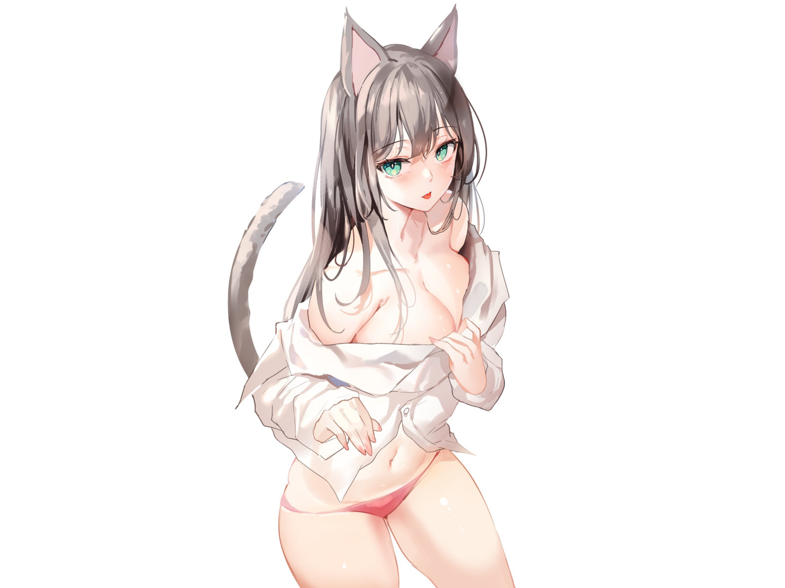 Скачать обои girl, sexy, cleavage, Anime, pussy, boobs, pretty, kitty,  раздел сэйнэн в разрешении 1600x1200