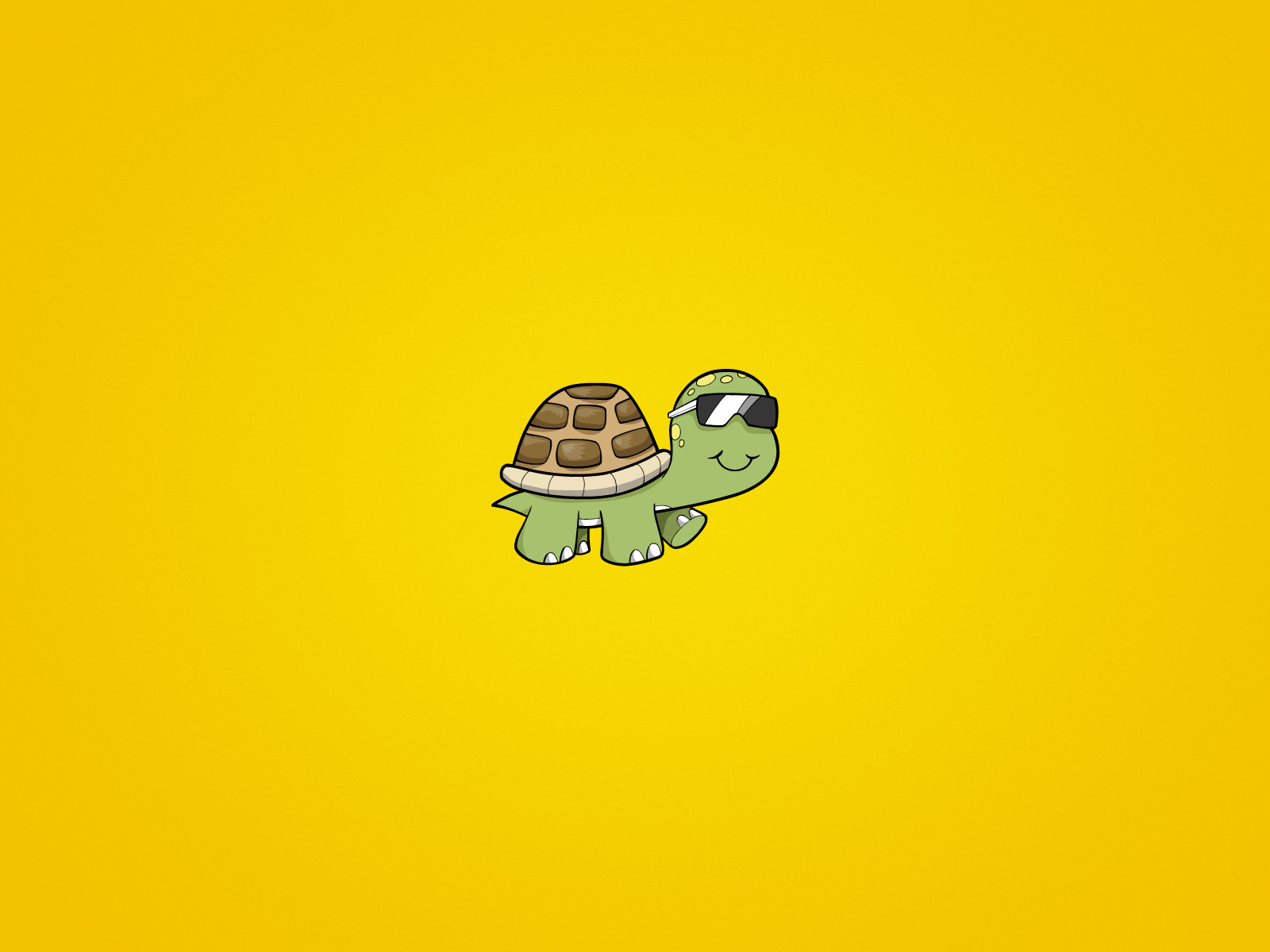 Черепаха Минимализм. Желтая черепаха. Обои на планшет Минимализм. Обои на компьютер Минимализм с черепашкой. Черепаха в очках картинка