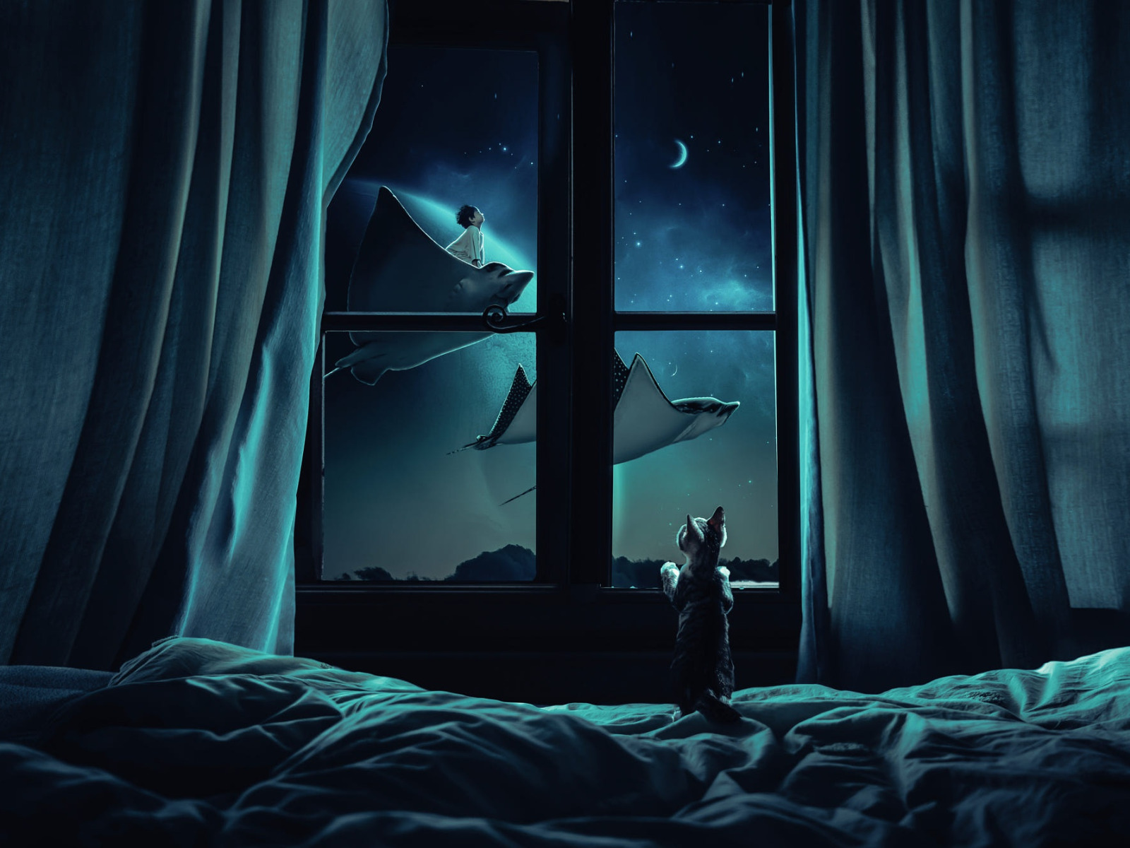Снится без окна. Комната Луны. Обои Луна комната кошка. Обои Луна комната кошка Эстетика. Летящие сквозь ночь книга.