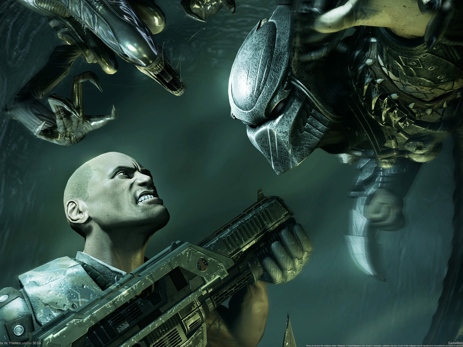 Aliens vs predator 2010 steam api dll фото 2