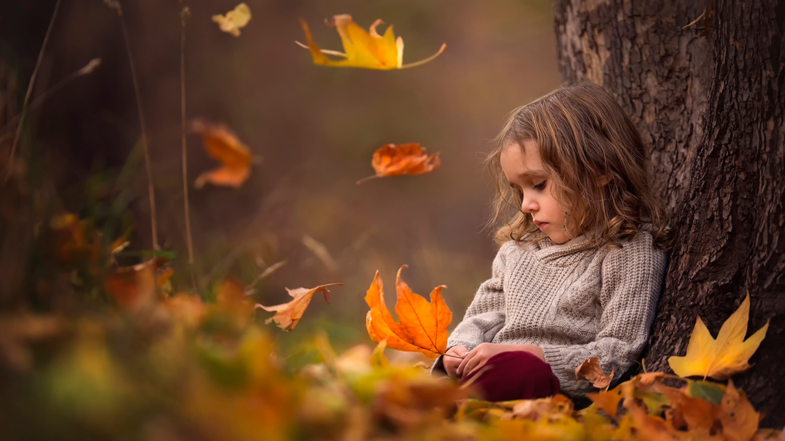 Осеннее настроение. Осень грусть. Девочка осень. Девочка с осенними листьями. Виновата осень