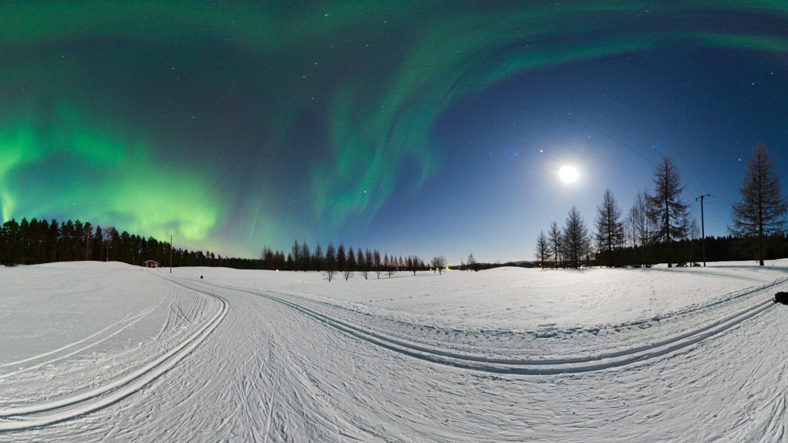 зима, лес, снег, деревья, столбы, провода, северное сияние