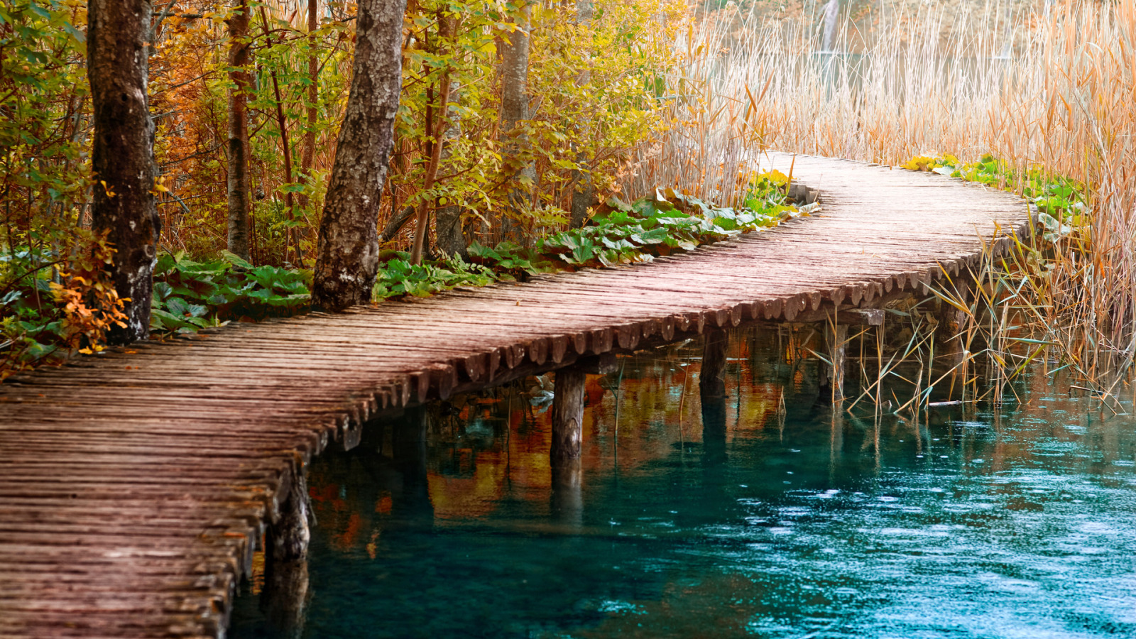 Фото рисунки природы. Деревянный мостик. Красивые мостики. Деревянный мост через реку. Мостик на озере.