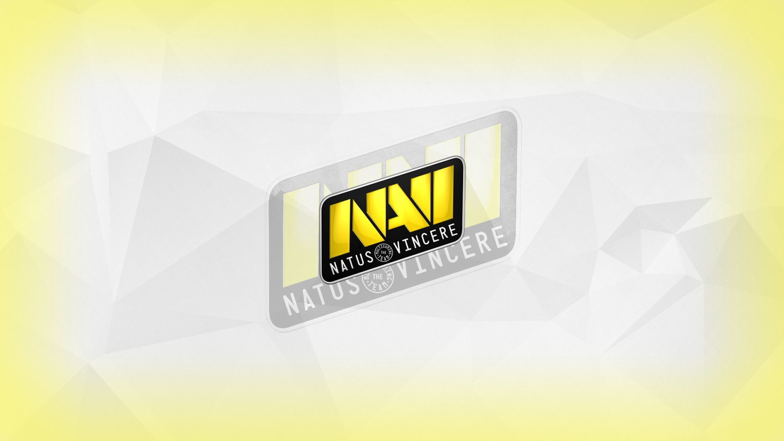 Скачать обои team, Natus Vincere, NaVi Gaming, NaVI, раздел игры в  разрешении 1600x900