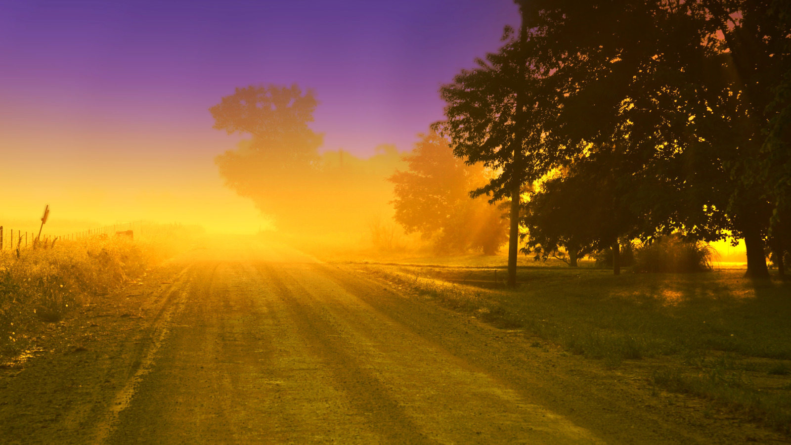 зелень, небо, трава, листья, солнце, облака, деревья, цветы