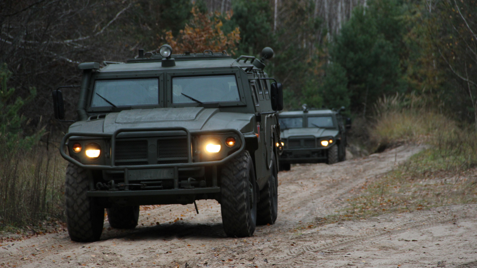 Военные машины в лесу