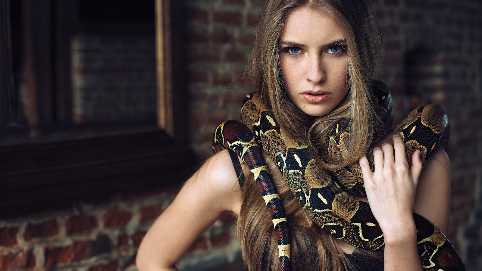 Девушка змея. Красивые девушки со змеями. Красивая девушка со змеей. Фотосессия со змеями.