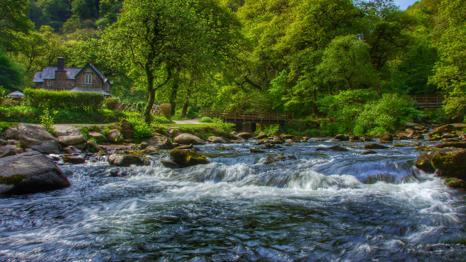 лес, деревья, река, Англия, дома, Devon, England, Девон