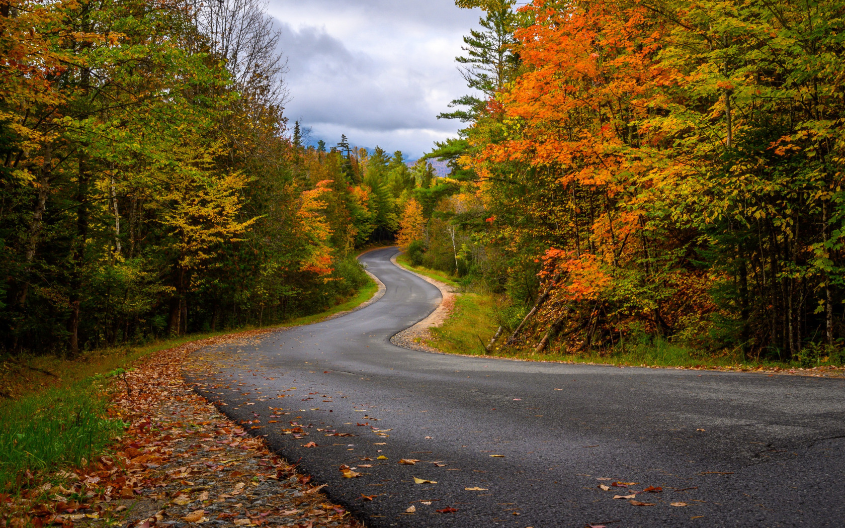 Осенняя дорога домой. Осенняя дорога. Дорога в осень. Осенняя дорога в лесу. Осенний лес.