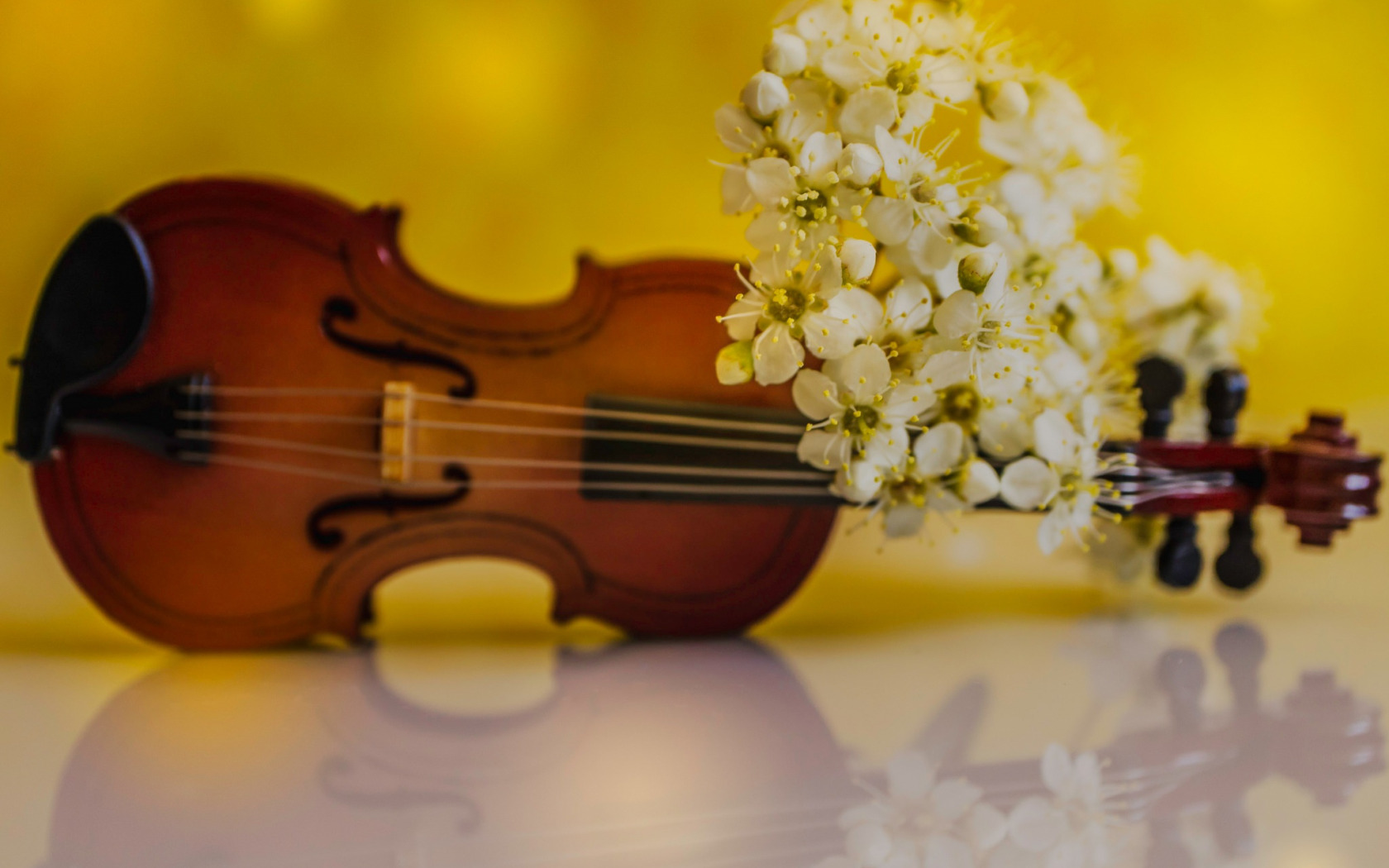 Скрипка и цветы. Красивые музыкальные инструменты. Весенняя скрипка
