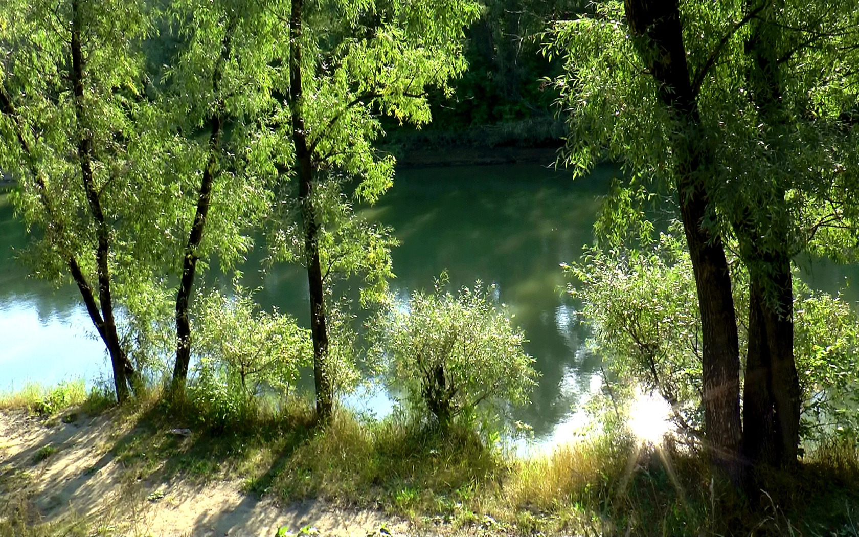 Тропинка к реке. Лес речка солнце. Река солнце лес. Лето лес река. Лес река солнце лето.