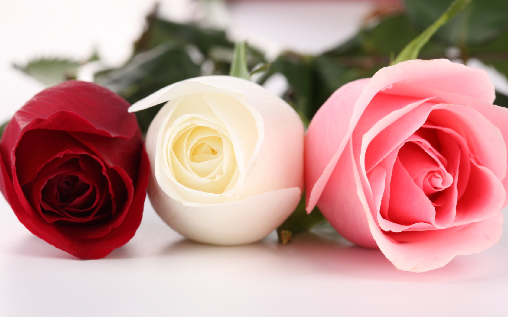 Розы 3 цветка. Цветы розы. Красивые розы. Розочка картинка. Розовые розы.