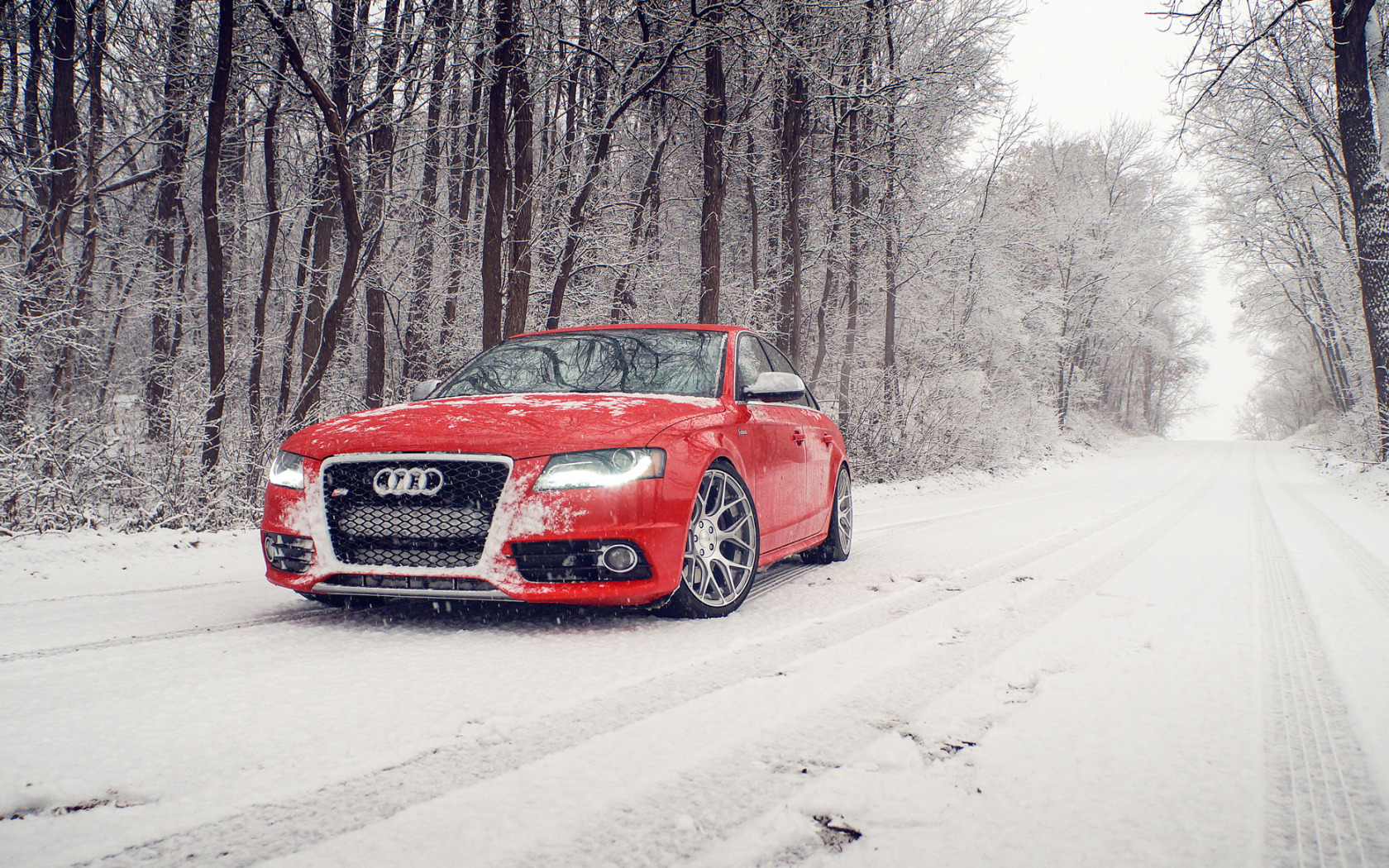 Ауди на аву. Audi s4. Audi s5 drive2. Audi s4 Red. Audi a6 Winter.