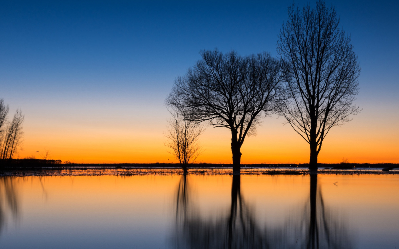 Water trees